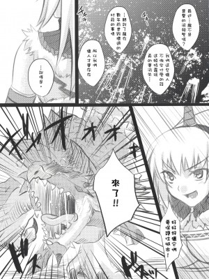 [萌研漢化組] (C73) [Princess Heart (天海雪乃)] 狩人白書 (モンスターハンター)_karihakusyo_06