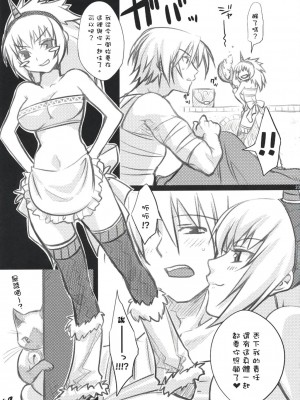 [萌研漢化組] (C73) [Princess Heart (天海雪乃)] 狩人白書 (モンスターハンター)_karihakusyo_22