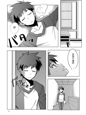 [萌の羽翼汉化组] (C78) [CROSS FIRE (Azu)] Fate／fireworks (Fate／stay night)_11