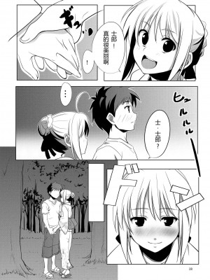 [萌の羽翼汉化组] (C78) [CROSS FIRE (Azu)] Fate／fireworks (Fate／stay night)_18