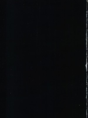 [TAIRA漢化] (C62) [Oricomplex (orico)] うまかゆ日記1 (バイオハザード)_016