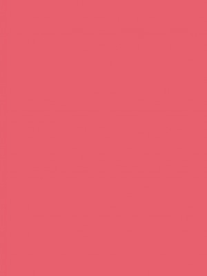 [Genesis漢化] (C79) [Chaotic Wolf (狗吠)] FILTH IN THE ENVY (東方Project)_002