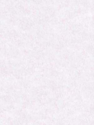 [嗒呢小姐汉化] (C77) [CHRONOLOG (桜沢いづみ)] SO SWEET (東方Project)_SO_SWEET_002