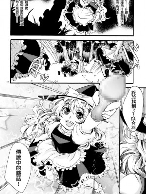 [冥月漢化組] (C77) [ジッパリスト (江口)] 東方双成譚 (東方Project)_10_010