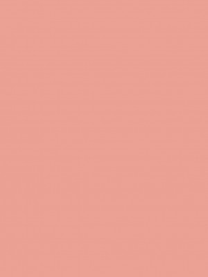 [绯色汉化组] (サンクリ42) [KOTI (Aとし)] 人と妖怪と紅い月 (東方Project)_02