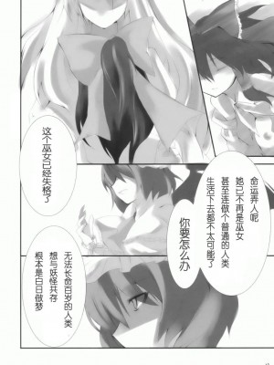 [绯色汉化组] (サンクリ42) [KOTI (Aとし)] 人と妖怪と紅い月 (東方Project)_10