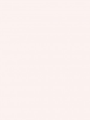 [Flandre个人汉化] (紅のひろば3) [KOTI (Aとし)] PARANOIA (東方Project)_02