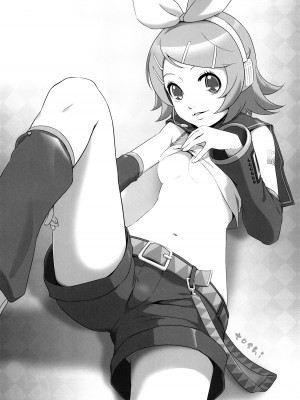 [绯色汉化组] (C73) [Medical Berry (ha-ru)] ミクスチャー (VOCALOID)_12