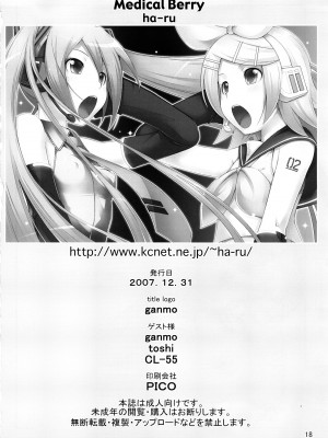 [绯色汉化组] (C73) [Medical Berry (ha-ru)] ミクスチャー (VOCALOID)_17