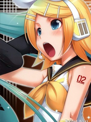 [绯色汉化组] (C73) [Medical Berry (ha-ru)] ミクスチャー (VOCALOID)_18