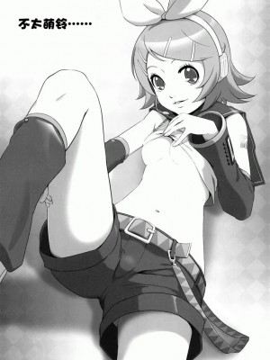 [绯色汉化组] (C73) [Medical Berry (ha-ru)] ミクスチャー (VOCALOID)_20