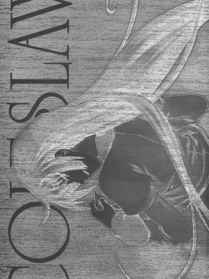 [时空汉化组] (サンクリ45) [GPX (アイザワテトラ)] COLESLAW (化物語)_02