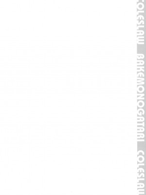 [时空汉化组] (サンクリ45) [GPX (アイザワテトラ)] COLESLAW (化物語)_03