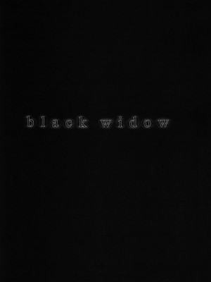 [特蘿蒂亞漢化組 + 眾倒反3K黨] (C78) [Disaster (Cuvie)] black widow (戦国BASARA)_02
