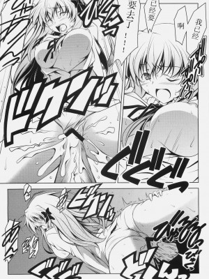 [D.D汉化] (C79) [オレムハX (キクチツトム)] エリカインパクト (FORTUNE ARTERIAL フォーチュンアテリアル)_15