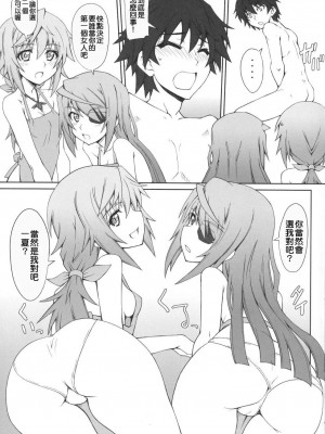 [清純突破漢化] (COMIC1☆5) [i.r.o.Zi (睦月ぎんじ、葵信次)] LOVE&3PEACE (IS ＜インフィニット・ストラトス＞)_M010