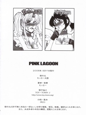 [银猫汉化组] (C70) [もっちー王国 (よろず)] PINK LAGOON 001 (ブラック・ラグーン)_41