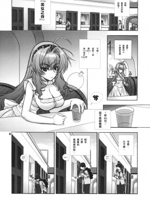 [ゼロ漢化] (C76) [WILD KINGDOM (浅草寺きのと)] JUSTICE_03