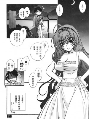[ゼロ漢化] (C76) [WILD KINGDOM (浅草寺きのと)] JUSTICE_15