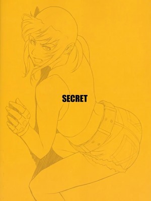 [冬乳汉化组] (C72) [AZASUKE WIND (AZASUKE)] SECRET (ブラック・ラグーン)_037