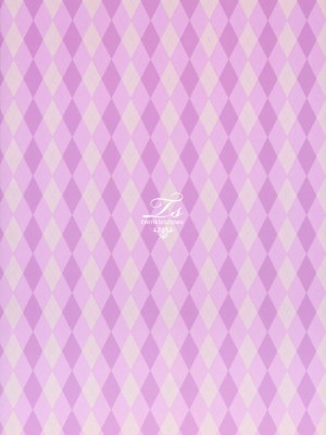 [公主の假日汉化组] (C80) [twinkle snows (高階@聖人)] エロメイジアネックス (東方Project)_24