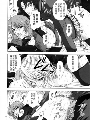 [黑条汉化] (C67) [学園はにもくお (東雲舞樹)] Rimited build (機動戦士ガンダムSEED DESTINY)_11