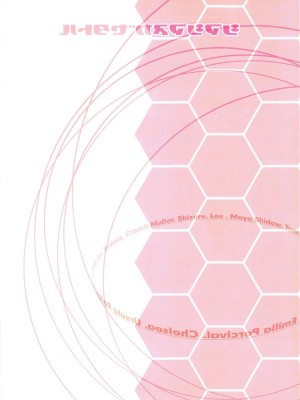 [茜吧漫翻组] (サンクリ47) [まめのん (まめP)] シマシマヌガセタトル (ファンタシースターポータブル2)_02