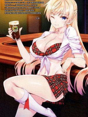 [无毒汉化组] (C91) [alicemiller (松竜)] 夜の顔_03