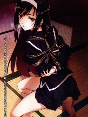 [无毒汉化组] (C91) [alicemiller (松竜)] 夜の顔_05