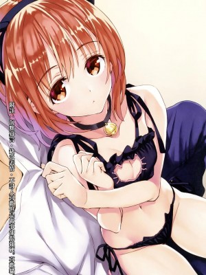 [无毒汉化组] (C91) [alicemiller (松竜)] 夜の顔_11