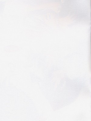 [东方小吃店] (C73) [Pixel Cot. (羽原メグル)] ゆりもあ (東方Project)_yuri002