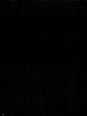 [伞尖绅士汉化组] (例大祭10) [きつねとぶどう (くろな)] チユエカンリ (東方Project)_24_025