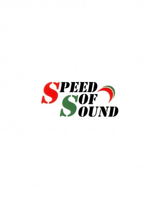 (C103) [Speed of Sound (brave)] 何でも命令していいの？ (お兄ちゃんはおしまい!) [透明声彩汉化组]_32