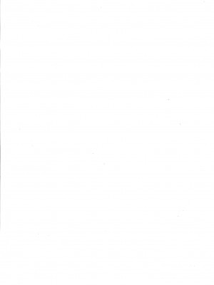 [White Lolita (ちゃつね)] アロプラアーカイブ (ブルーアーカイブ) [白杨汉化组] [DL版]_05