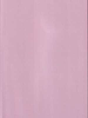 (C103) [One and Only (せち)] 聖夜純愛真剣交際婚前交渉本 (ブルーアーカイブ) [中国翻訳]_22