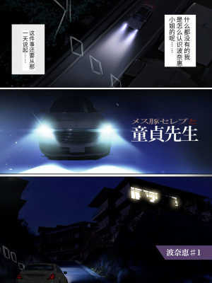 [ナイロン100% (ナイロン)] メス豚セレブと童貞先生 [中国翻译]_e-20