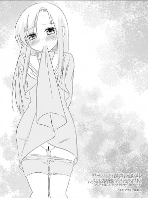 [ナギヤマスギ (那岐山)] ヒナギク痴漢電車5 (ハヤテのごとく!) [DL版]_03