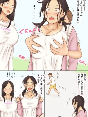 (同人誌) [なみなみぱいん] 友達の姉のおっぱいを揉みまくった結果2 照子編_15