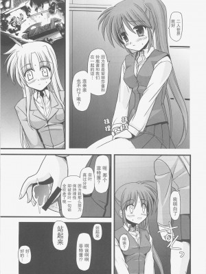 (C73) [鯵づくし (北宮弦武)] ALTER EGO (魔法少女リリカルなのは) [透明声彩汉化组]_14