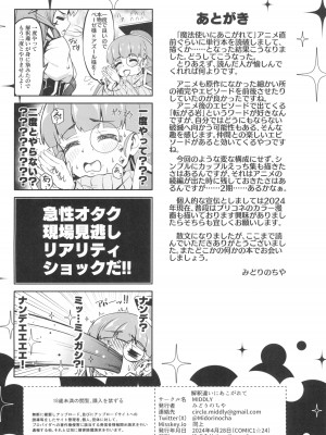 (COMIC1☆24) [MIDDLY (みどりのちや)] 解釈違いにあこがれて (魔法少女にあこがれて)_26