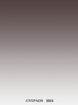 [NYPAON] nypaon 熟女合集 [中国翻译]_426