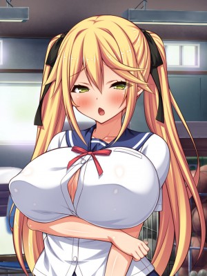 [汁っけの多い柘榴] 俺との子作り実習で妊娠しないと卒業できません_256