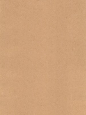 (C102) [CHERRY BLOSSOMS (ユリ)] GRM社長の夏はビーチでイチャイチャしよう (ファンタシースターユニバース) [逃亡者×真不可视汉化组]_04