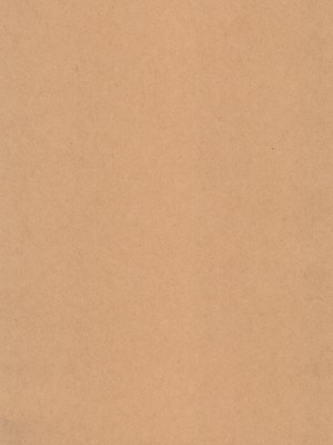 (C102) [CHERRY BLOSSOMS (ユリ)] GRM社長の夏はビーチでイチャイチャしよう (ファンタシースターユニバース) [逃亡者×真不可视汉化组]_03