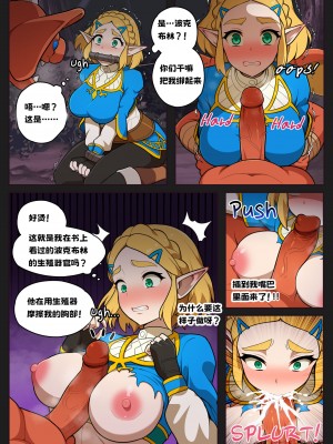 [Everyday2] Hidden memory (The Legend of Zelda) [HazelF个人汉化]_2