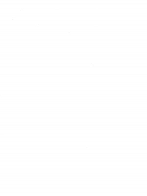 (C103) [スパイシーラブスヘブン (かみ田)] 異世界に行ったら無人島でかわいいオナホができました♥ (サモンナイト) [中国翻訳]_02