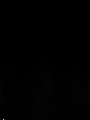 (C103) [スパイシーラブスヘブン (かみ田)] 異世界に行ったら無人島でかわいいオナホができました♥ (サモンナイト) [中国翻訳]_04