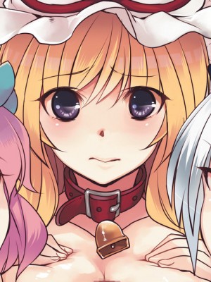 (例大祭9) [百々ふぐり (しんどう)] 加齢なる日常 (東方Project) [DL版] [中国翻訳]_01