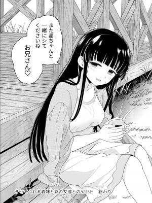 [ヒロノ家 (ヒロ広野)] サセてくれる義妹と妹の友達との5月5日_47