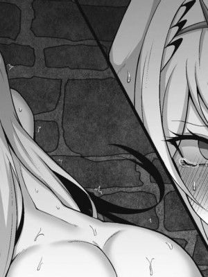 [えるう] ヒカリ (ゼノブレイド2) [❤×真不可视汉化组]